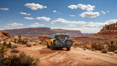 Flex Duo Hitch 2-Bike Rack with Ramp