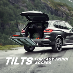 Electric Wheelchair/Scooter Carrier and Lift