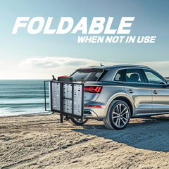 Electric Wheelchair/Scooter Carrier and Lift